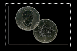 Palladium Coins